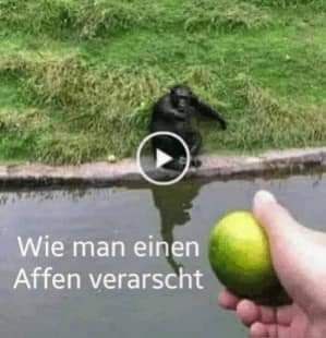 Friedrich der erste tweet media