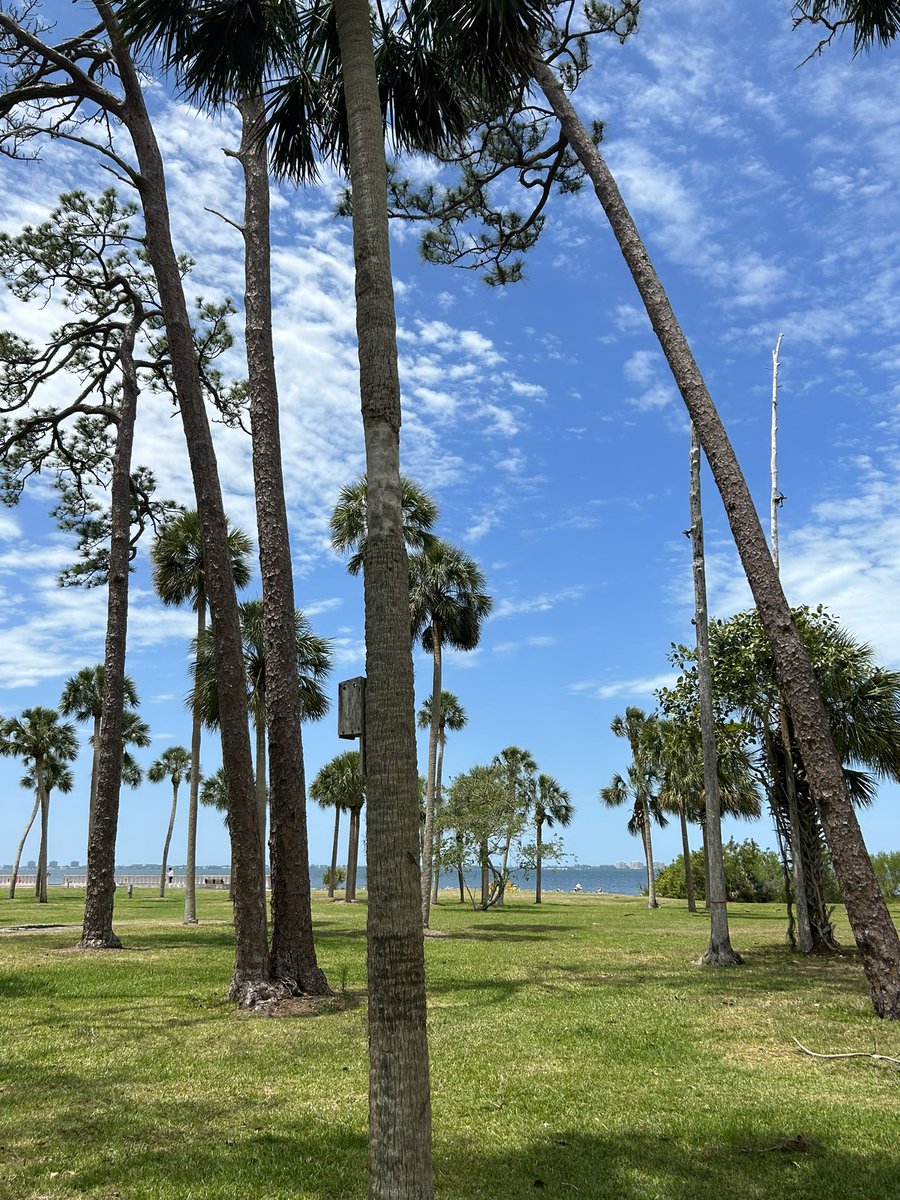 Zach Close tweet media