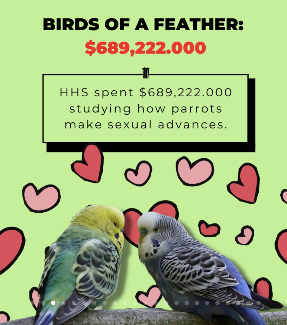PatriotGal480's tweet photo. Important stuff! Glad I worked my a** off to pay for this. $$$$. How about you survey bird people for free! #MoreWastefulSpending #WePaidforThat https://t.co/GLECJ2YMFh