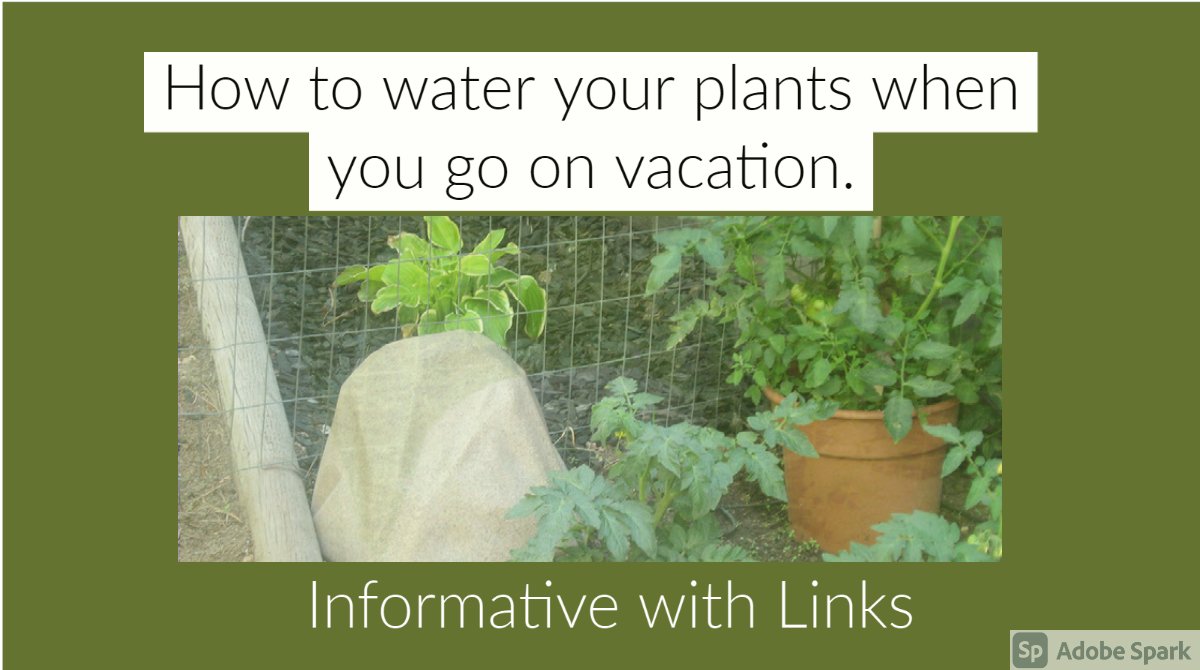 WateringRocks's tweet photo. Are you seeking  an answer to watering your plants where you can't or when you can't? Take a look at this automatic portable drip irrigation tool that looks like a rock. They hold 5 gallons of water and fertilizer and will water for up to 2-3 days.  @irrigation @gardening https://t.co/fNpsRX8rDj