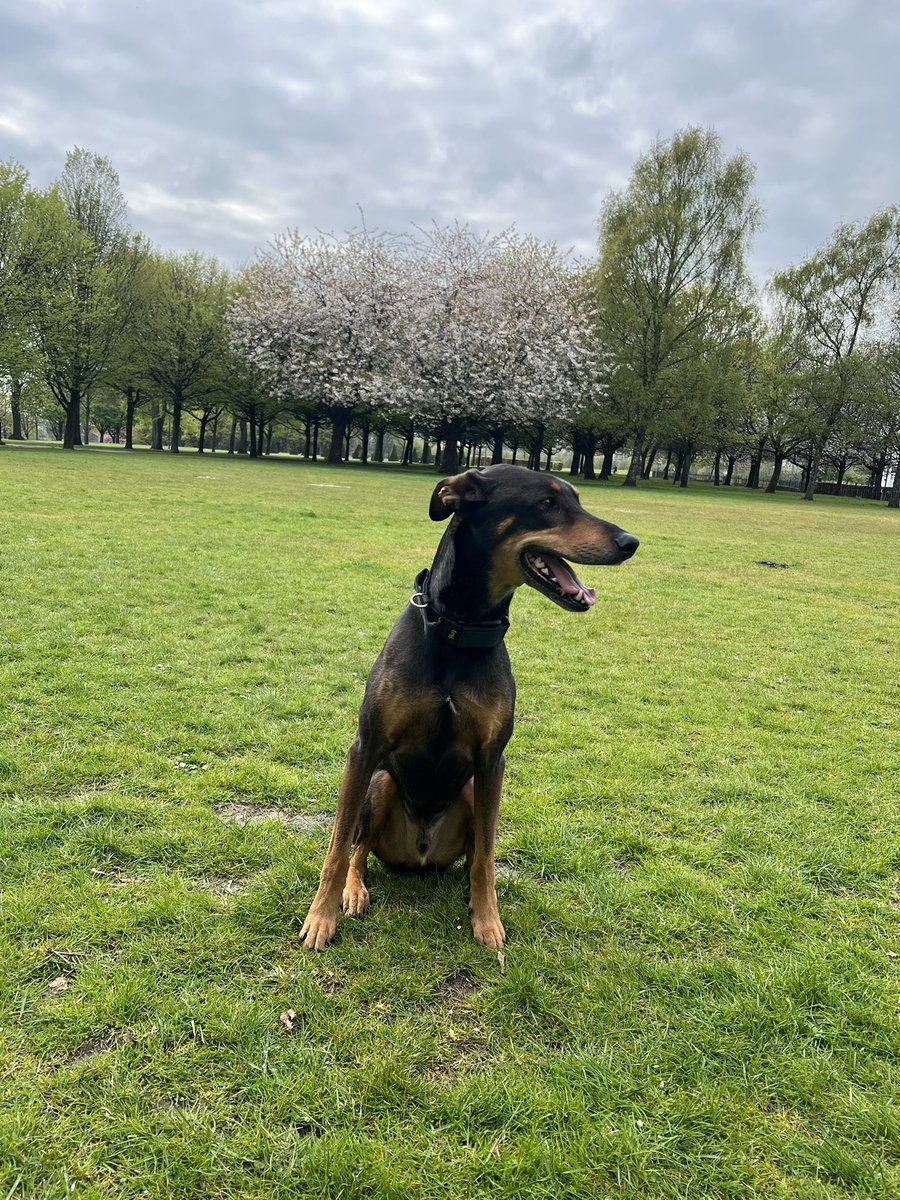 I’m so happy to be home. You can’t wipe the smile off my face