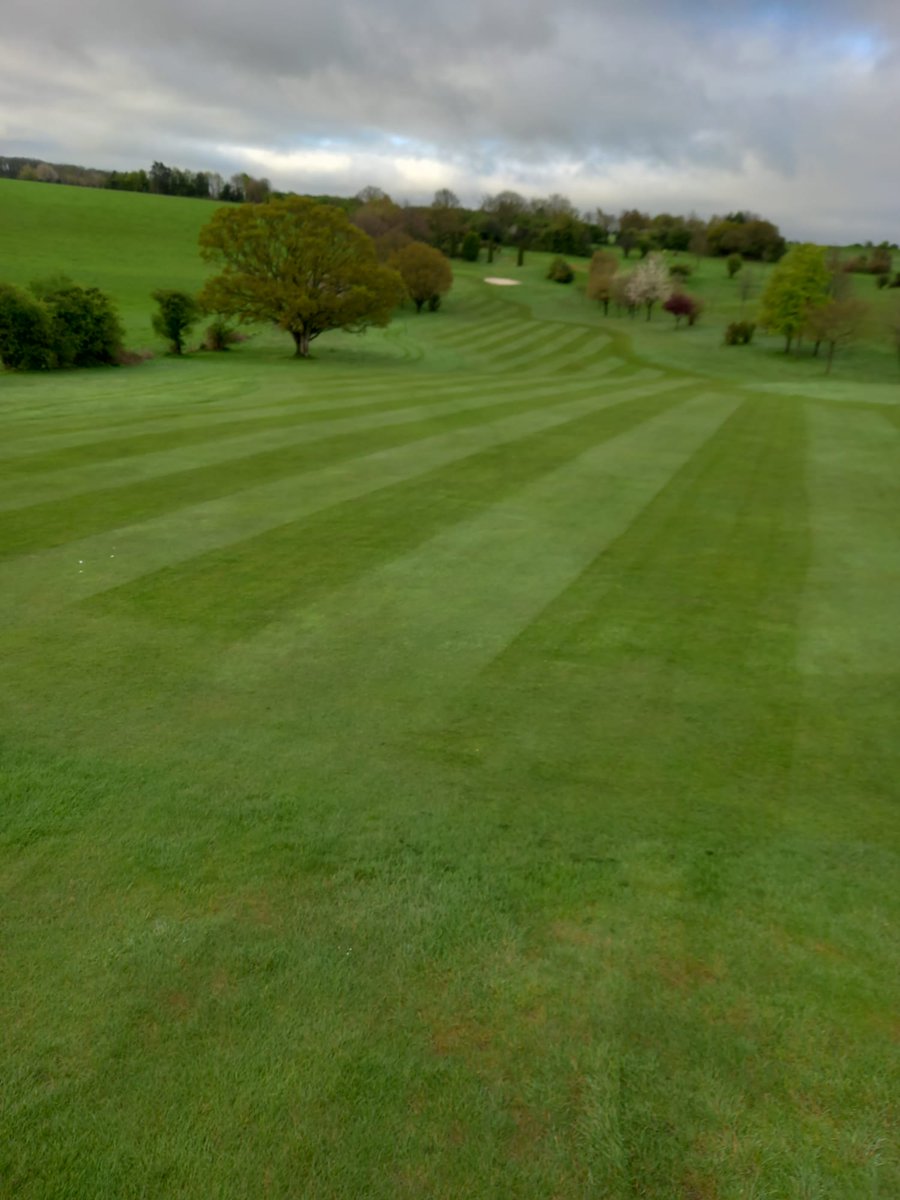ASHLEYWOODGOLF's tweet photo. More stripes...

Course looking good leading into the weekend and moving onto the Dorset County Ladies County Championships from Thursday 4th May... 

#MembersClub 
#FewSpacesLeft 
#countygolf 
#ladiesgolf https://t.co/k8fum5SSek