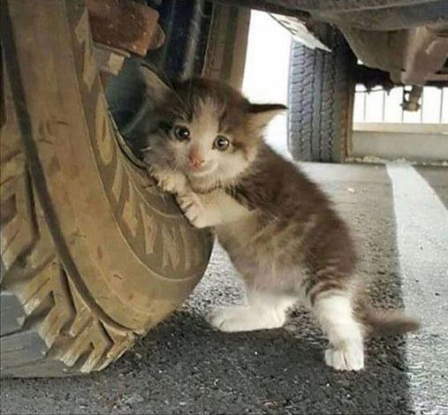 Checking tire pressure.