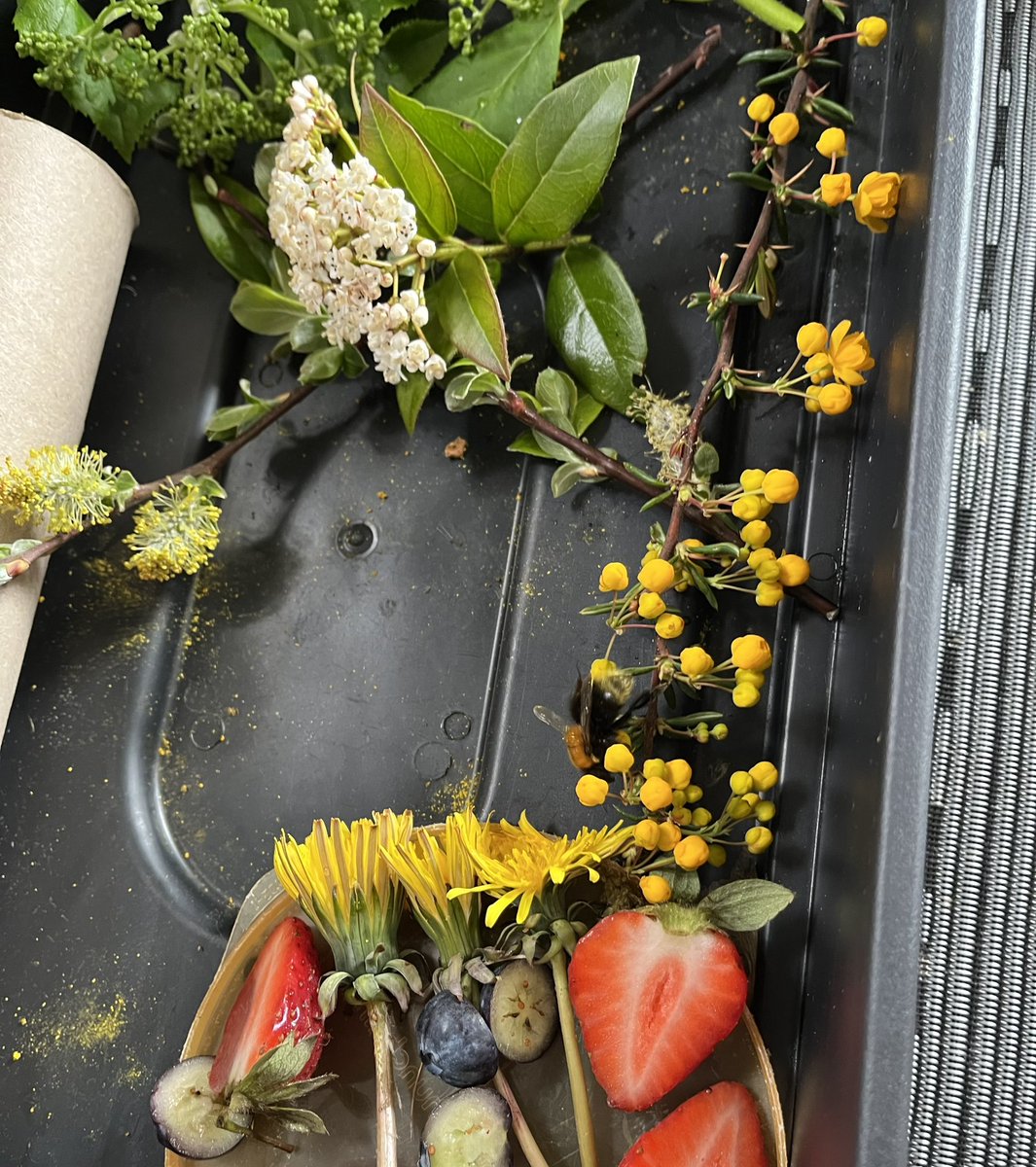 cluedont tweet media