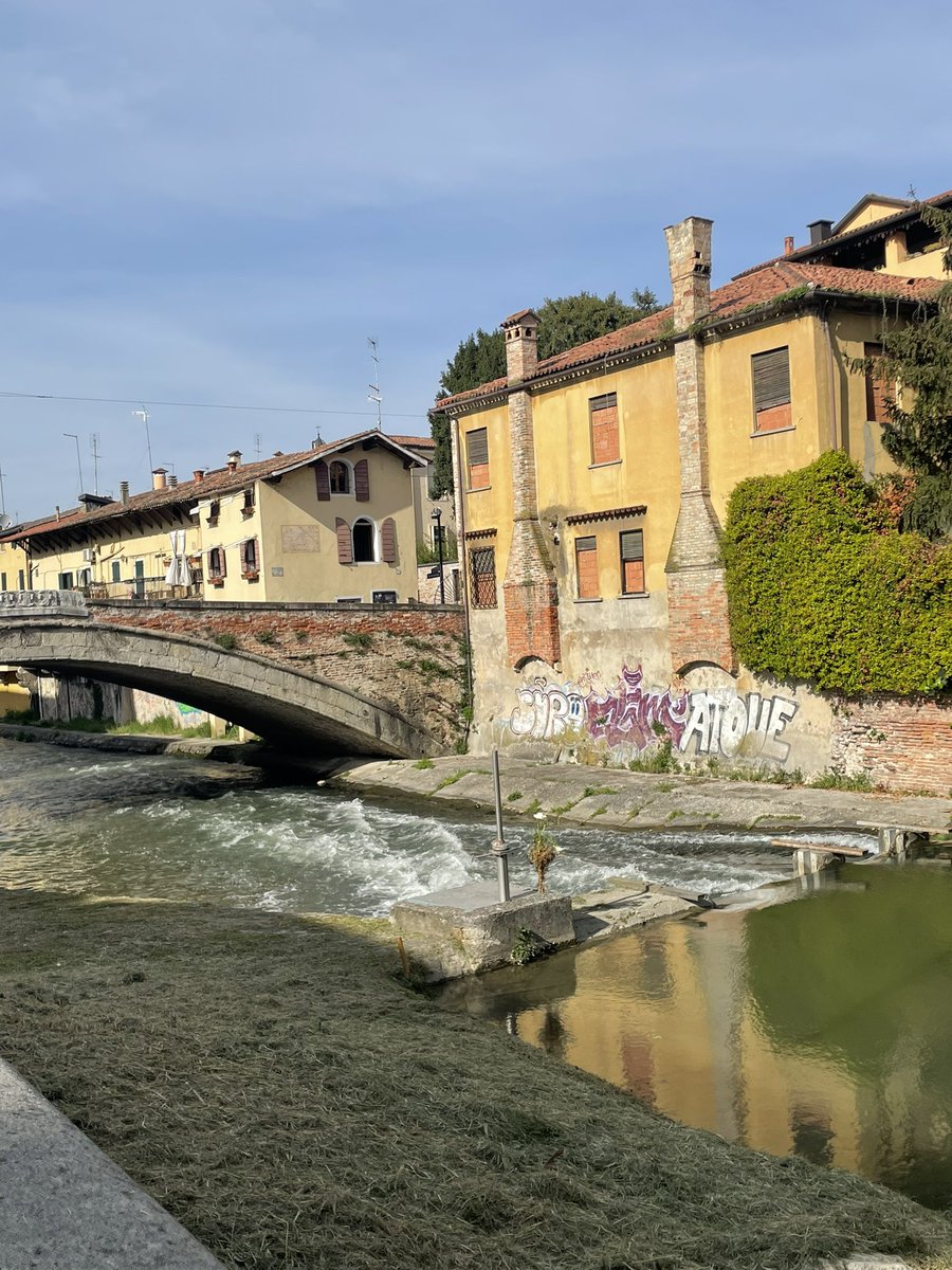 Fiona Trewavas (@fiona_trewavas) on Twitter photo Padua wandering #MarillionWeekendItaly23 
No socks! Always a good part. Padua wandering #MarillionWeekendItaly23 
No socks! Always a good part.