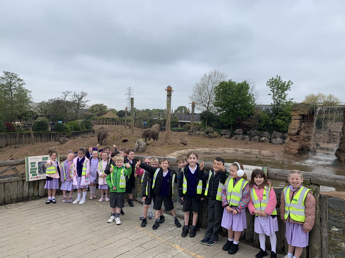 Emmaus_School's tweet photo. 🦒An amazing day for #emmausyeartwo @chesterzoo today!🐯We learned lots about animal habitats, had our lunch with giraffes and some of us even met @SteveBackshall ! More pictures to follow on our Y2 class website page. 🦁 #emmausscience https://t.co/Kj4HHCzAH3