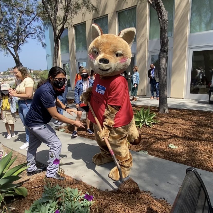 SDPublicLibrary's tweet photo. 🌳 #ArborDay update! 🌳
The little trees planted last year at #OtayMesaLibrary with @MayorToddGloria, @CityofSanDiego & #OdiTheCoyote with their crew of helping hands have grown so well. Shout-out to branch manager Nancy for her TLC! 💚 https://t.co/wrLVrAKVS1