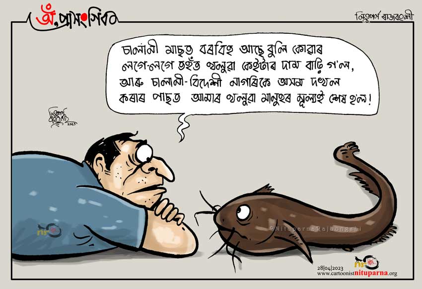 NituparnaRaj's tweet photo. #formalin #importedfish #assam #indigenous https://t.co/Jxpbr9dbPk https://t.co/Uc26zuxjrZ
