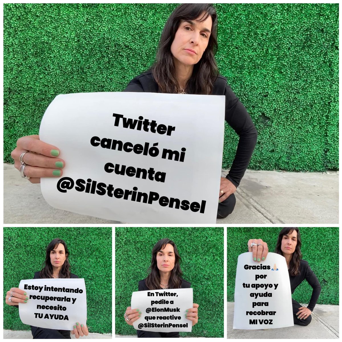 AdamTullyMusic's tweet photo. Dear @elonmusk,  please restore the account of the journalist @SilSterinpensil https://t.co/nI090xA06h
