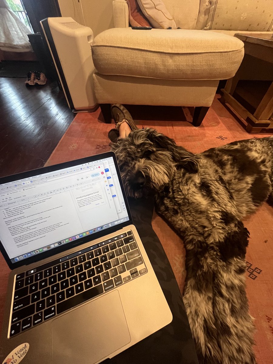 hasn’t read a single page of a single report