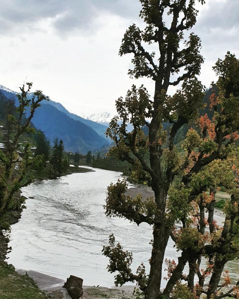 drjaveriahayatk's tweet photo. Blessed Friday All! 😍
Love from #AJK #upperneelumvalley #heavenonearth #nature #naturelovers #Kashmir #atriptoremember #unforgettable #memories #travel #longdrive #NaturePhotography #detox https://t.co/QJFj3Bz5Am