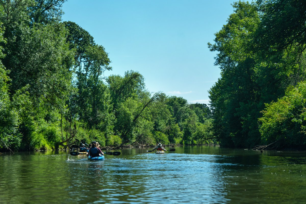CleanWaterNews's tweet photo. 🌳Happy Arbor Day!🌳 Trees play a hugely important role in keeping our small & sensitive Tualatin River cool & healthy — & they're only becoming more important as our planet warms. #ArborDay #TreeForAll #ClimateAdaptation #WatershedHealth🧵1/3 https://t.co/HQi9iDPGoC