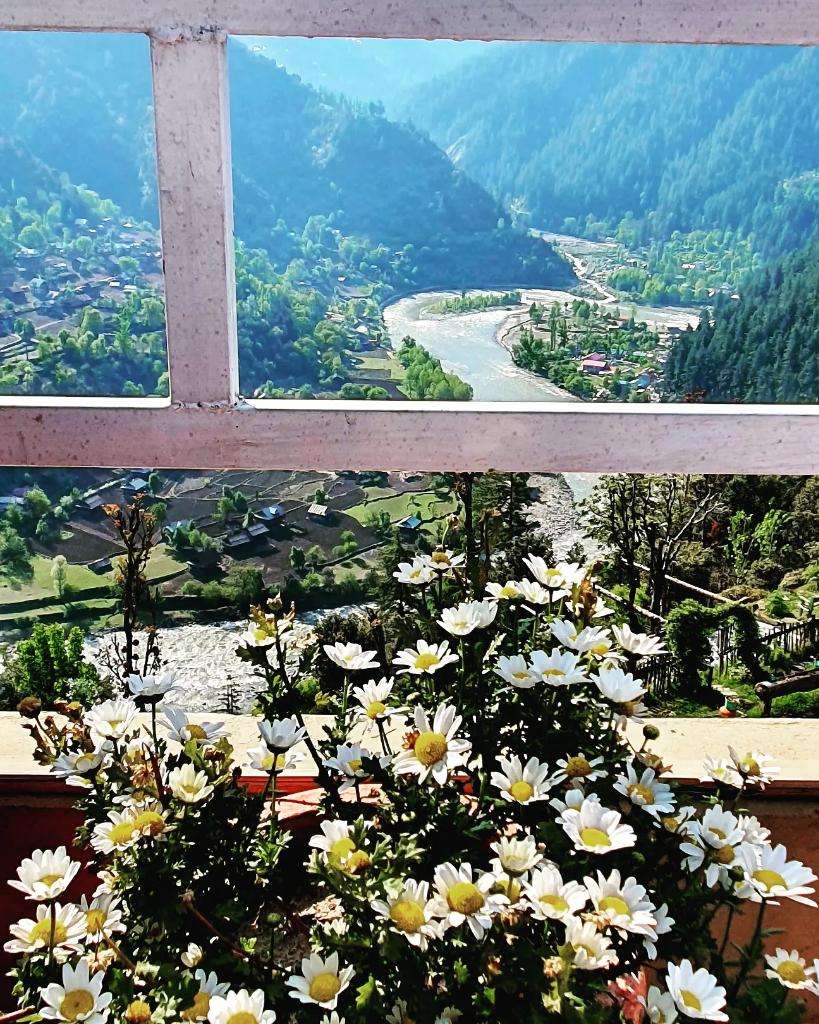 drjaveriahayatk's tweet photo. Blessed Friday All! 😍
Love from #AJK #upperneelumvalley #heavenonearth #nature #naturelovers #Kashmir #atriptoremember #unforgettable #memories #travel #longdrive #NaturePhotography #detox https://t.co/QJFj3Bz5Am