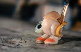 yu44_mi's tweet photo. ดูหนังออนไลน์ หนังใหม่ HD
Marcel the Shell with Shoes On 2022
ลิงค์ดู : https://t.co/XaZY94pLrd
.  
#ดูหนังออนไลน์ฟรี #ดูหนัง #หนังใหม่ #MarceltheShellwithShoesOn2022
‼️ หนังออนไลน์ฟรี HD มีคุณภาพ ‼️ 
💻@nungfree
🎥 https://t.co/dO291CSAti https://t.co/kIHiMJuVwv