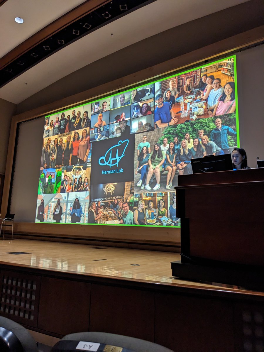 Herman Lab tweet media