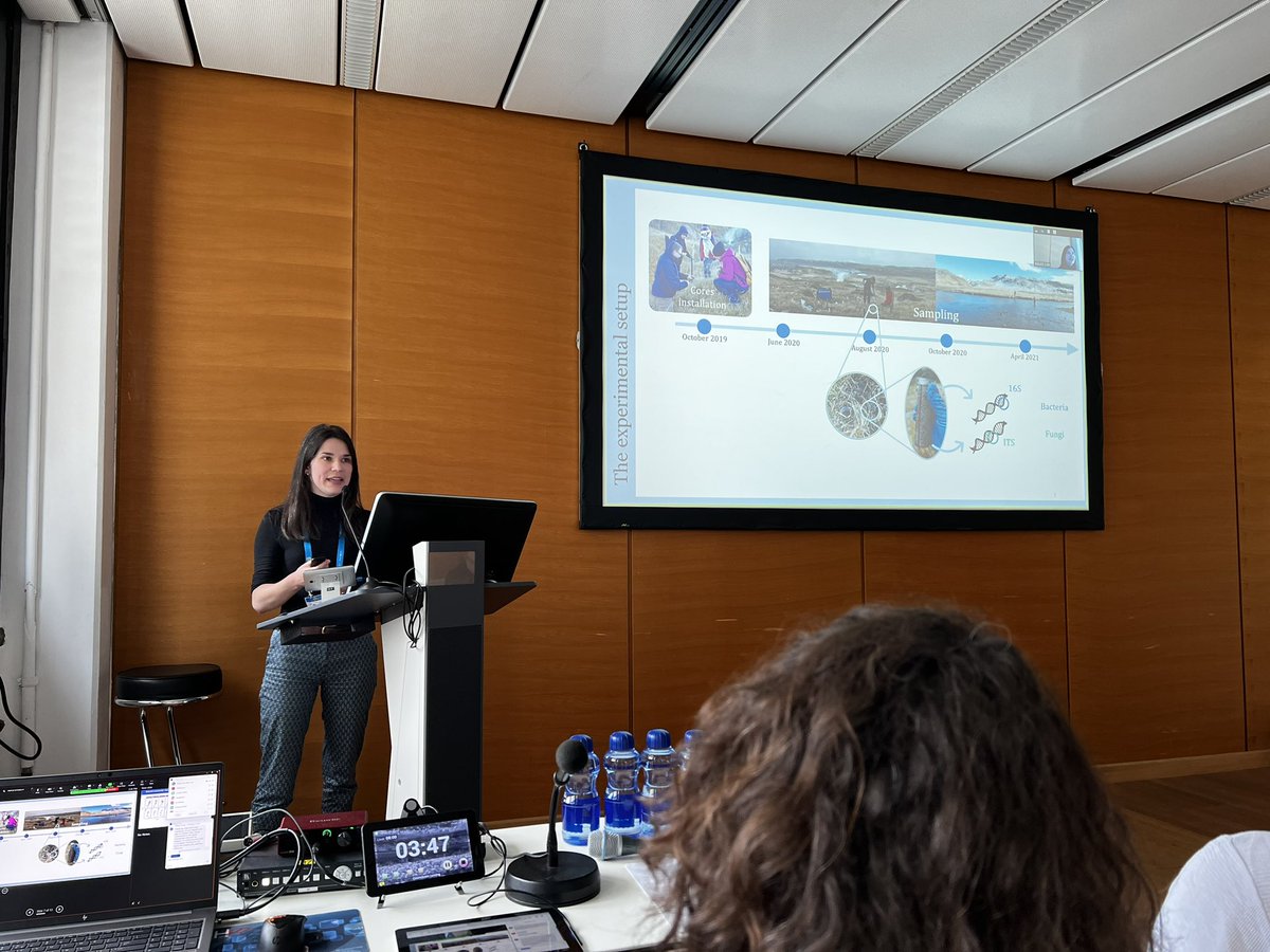 klausslar's tweet photo. Great talks by the @FutureArcticITN crew to end the #EGU23 session on northern ecosystems under climate change by Coline, Fabrizzio, Phoebe and Amir. Great to see all the results coming in 🙂 https://t.co/eRcJzK6ako