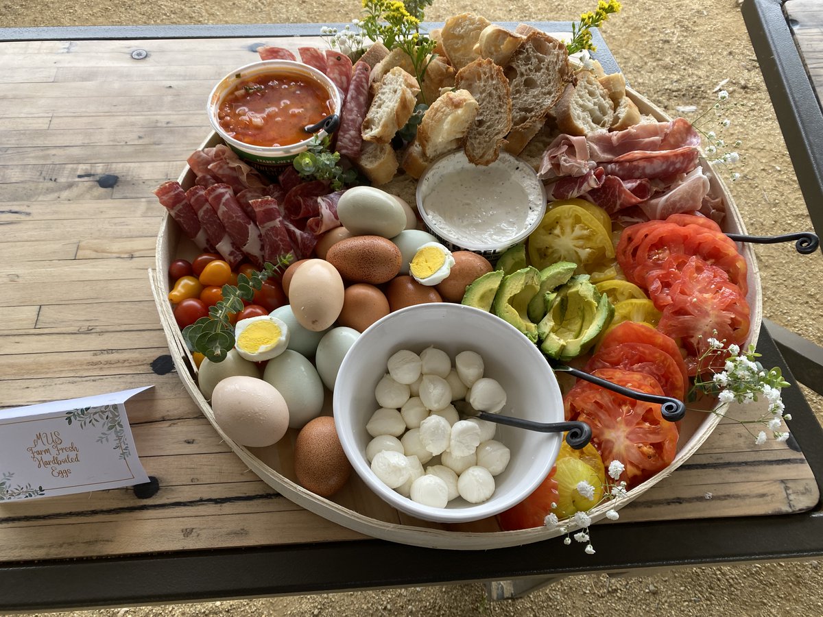 Anthony Ranii tweet media