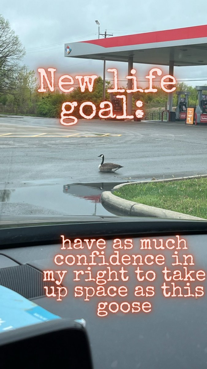 This guy waddled around the busy lot for a solid 5 minutes with nary a shit to give. 

Be bold, y'all. Have the audacity of a mediocre Canadian Goose

#BeBold #confidence