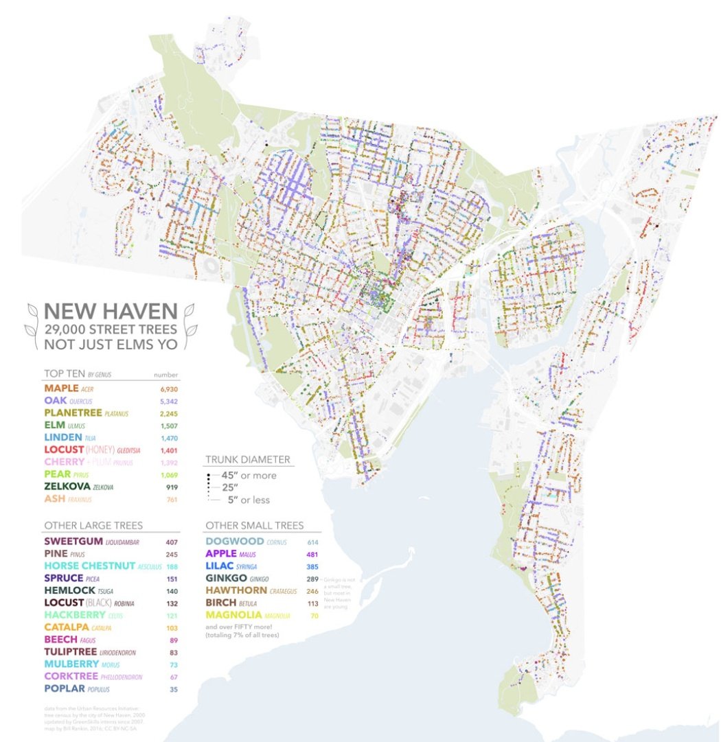 DFANewHaven's tweet photo. In honor of #NationalArborDay, check out this cool map of street trees in New Haven 🌳🌲
https://t.co/X2IKkgFS4V https://t.co/d8NjYAYIdW