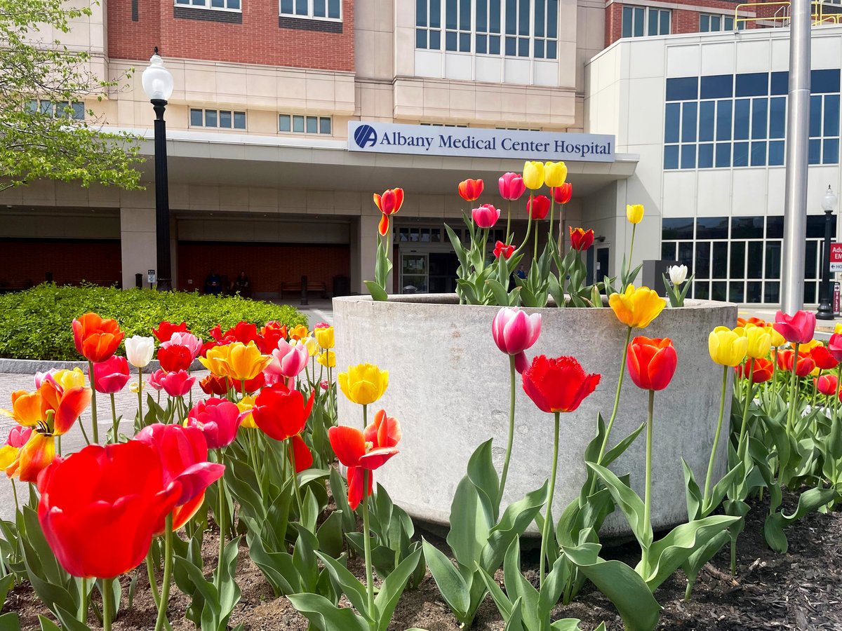 Albany is in full bloom! Have a great weekend everyone!