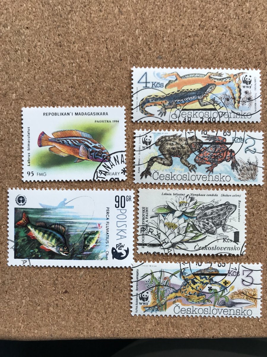 JillingsTonia's tweet photo. Colourful stamps to brighten the day 💙💚💛💜❤️💗

#whatsyourtopic #Topicalstamps #mailart #usedstamps #ilovestamps #postagestamp #postagestamps #philatelist #postal ⠀
#philatelist #philately #philatelic https://t.co/sblSqMiwcz
