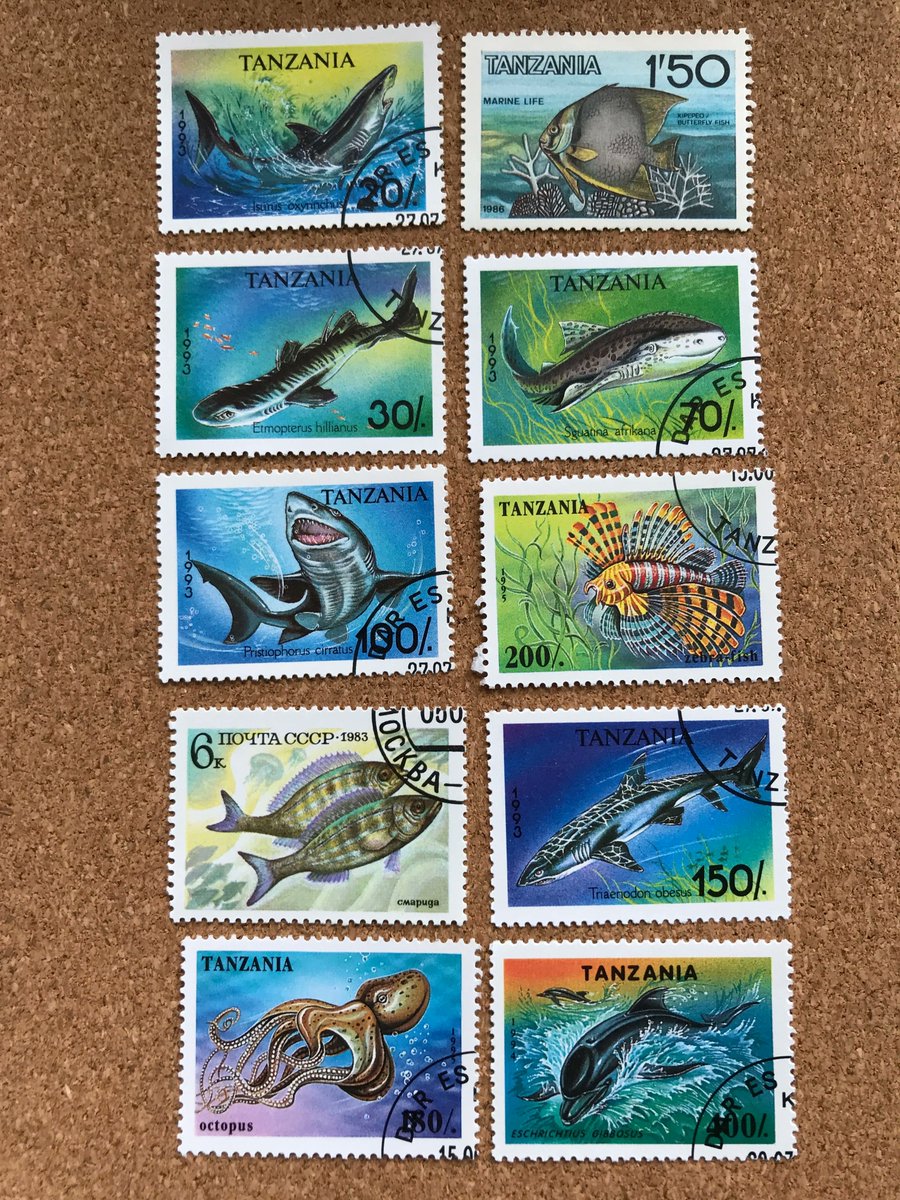 JillingsTonia's tweet photo. Colourful stamps to brighten the day 💙💚💛💜❤️💗

#whatsyourtopic #Topicalstamps #mailart #usedstamps #ilovestamps #postagestamp #postagestamps #philatelist #postal ⠀
#philatelist #philately #philatelic https://t.co/sblSqMiwcz