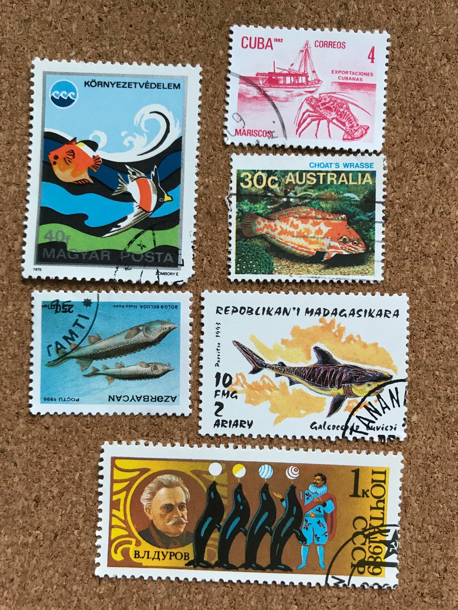 JillingsTonia's tweet photo. Colourful stamps to brighten the day 💙💚💛💜❤️💗

#whatsyourtopic #Topicalstamps #mailart #usedstamps #ilovestamps #postagestamp #postagestamps #philatelist #postal ⠀
#philatelist #philately #philatelic https://t.co/sblSqMiwcz