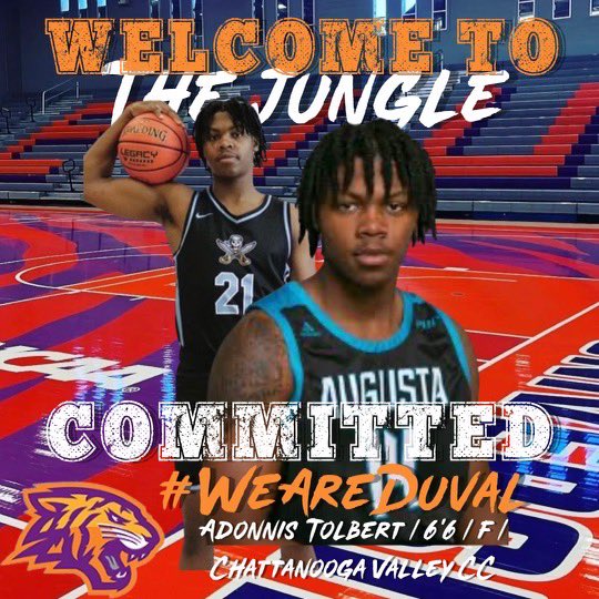 Committed Go Tigers 🐅