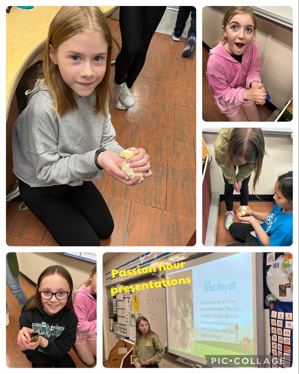 @mrsrafuse tweet media