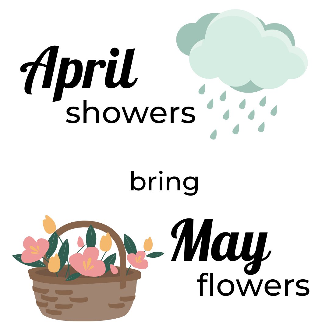 BPL Plasma LLC tweet media