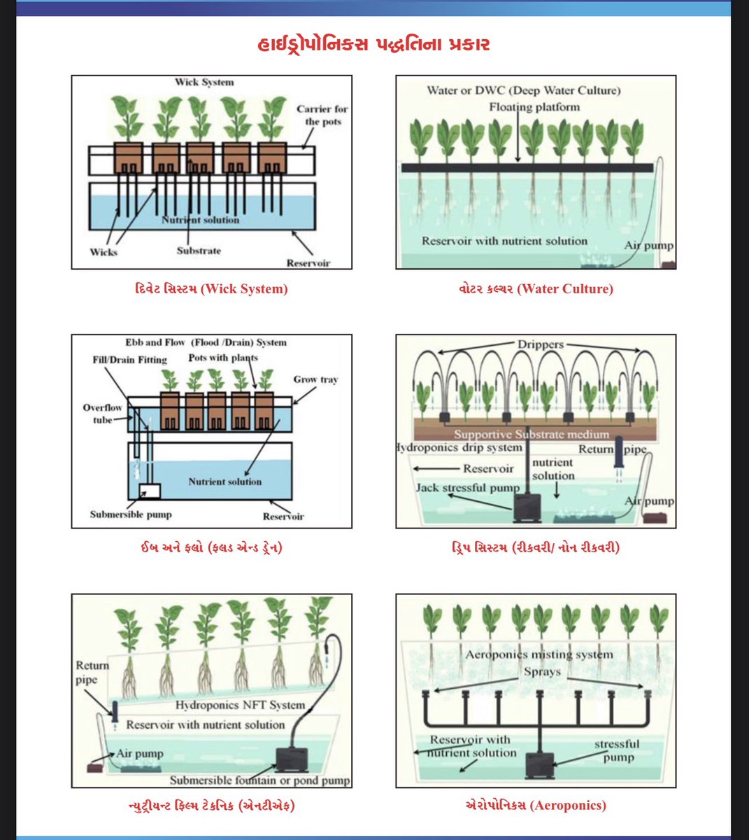ATMA Bharuch (@pdatmabharuch) on Twitter photo આવો જાણીએ #hydroponics હાયડ્રોપોનિક્સ ની વિવિધ પદ્ધતિઓ વિષે
<a href="/ATMAGUJARAT/">ATMA</a> <a href="/CollectorBharch/">Collector & DM Bharuch</a> <a href="/DDOBHARUCH1/">DISTRICT PANCHAYAT BHARUCH</a> આવો જાણીએ #hydroponics હાયડ્રોપોનિક્સ ની વિવિધ પદ્ધતિઓ વિષે
<a href="/ATMAGUJARAT/">ATMA</a> <a href="/CollectorBharch/">Collector & DM Bharuch</a> <a href="/DDOBHARUCH1/">DISTRICT PANCHAYAT BHARUCH</a>
