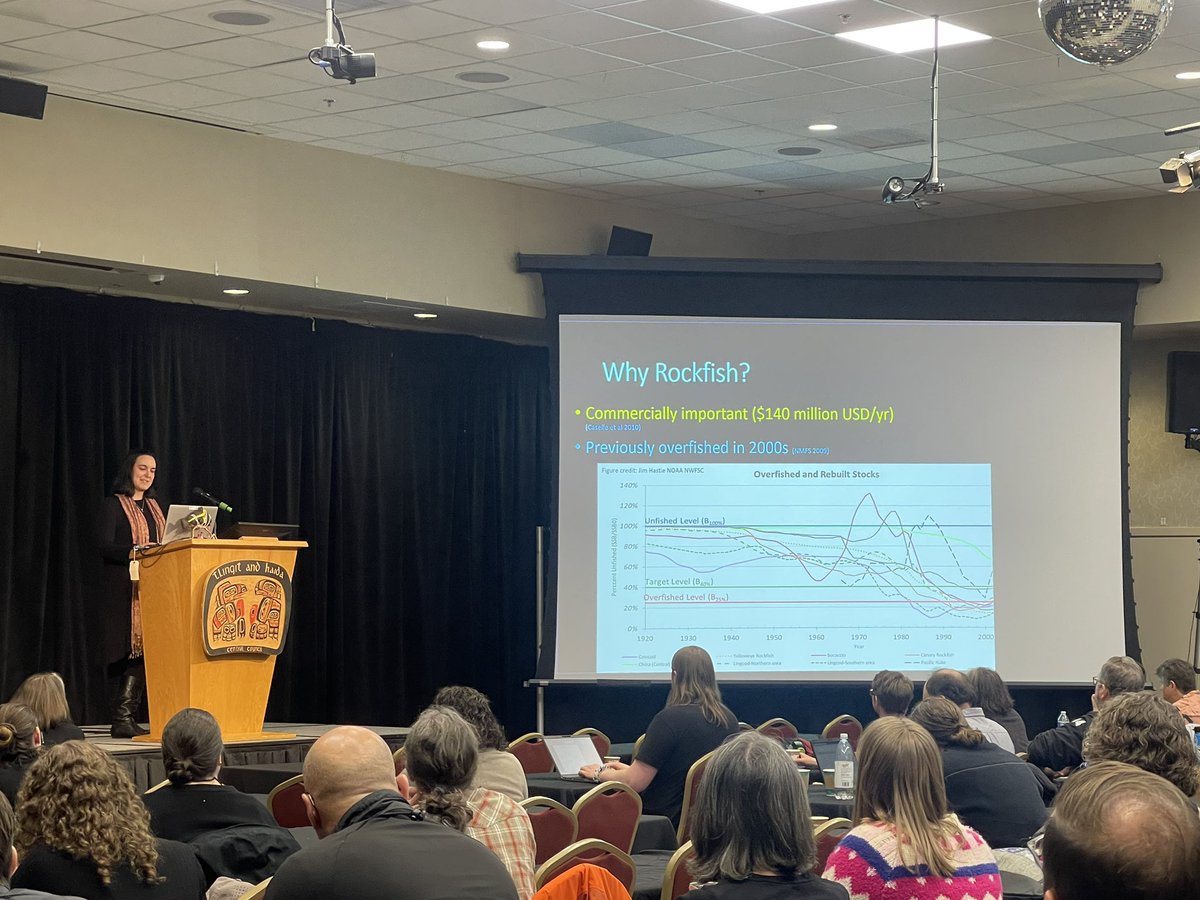 Alexandra Ávila L, tweet media