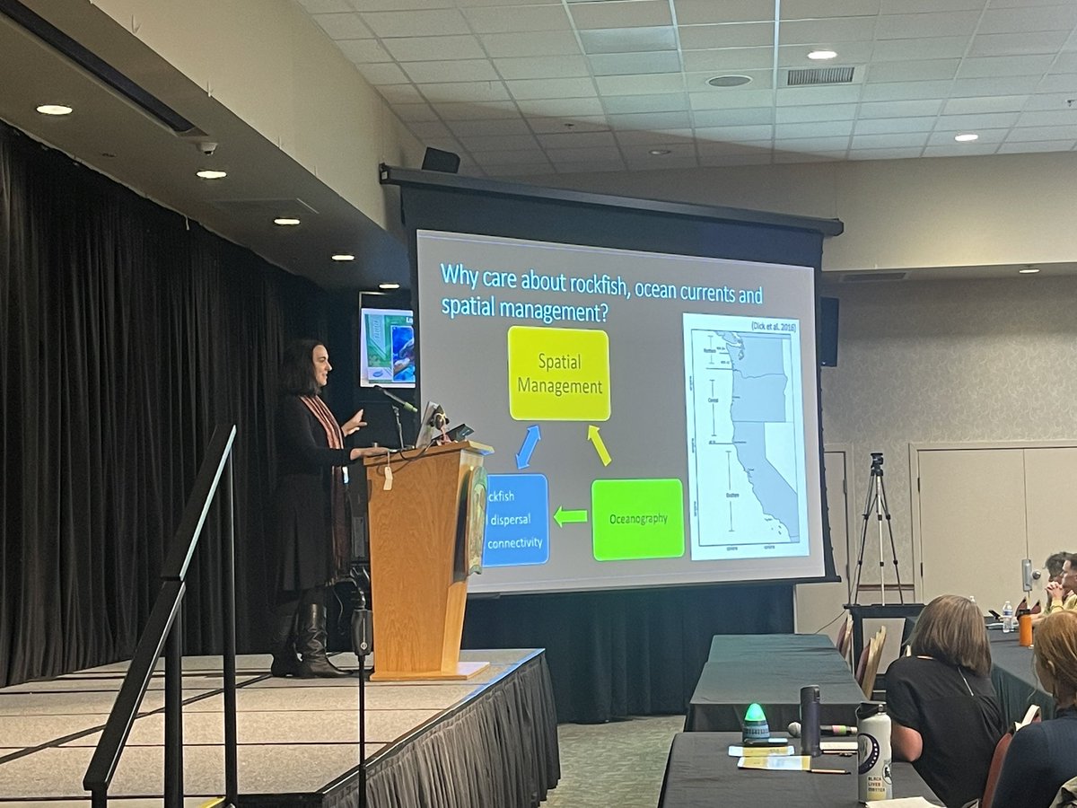 Alexandra Ávila L, tweet media