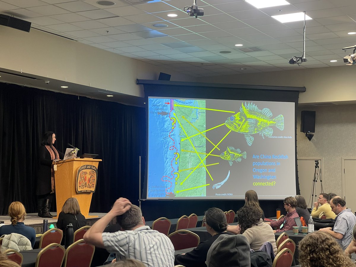 Alexandra Ávila L, tweet media