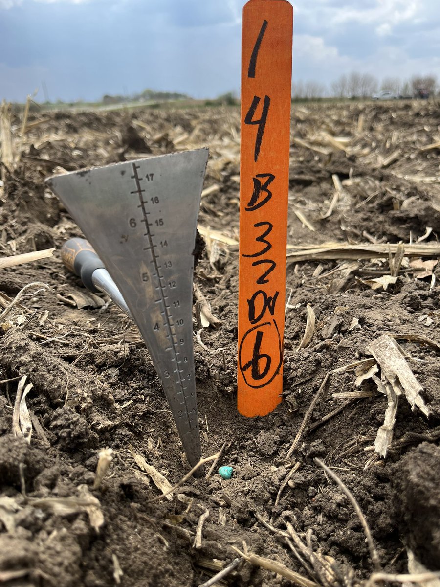 Planters rolling everywhere in southern Iowa. Plots being planted in great conditions. Corn on corn plot near Bedford, new genetics, higher yield levels <a href="/GldnHarvest/">Golden Harvest Seeds</a> <a href="/GHXSeed/">GHX</a> #GHXDifference