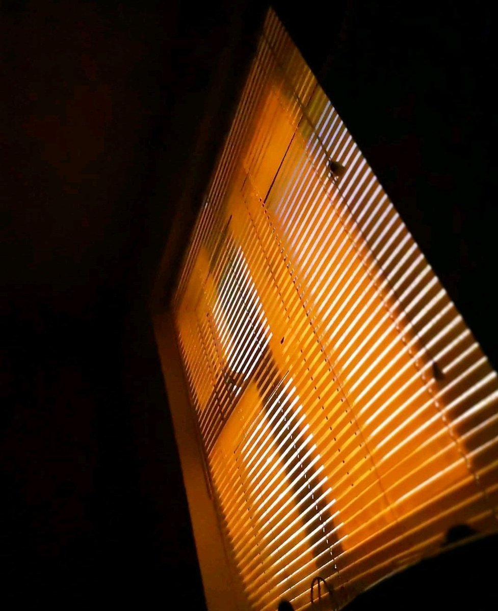 sonyaphotoart's tweet image. Well I'm heavenly blessed and worldly wise
I'm a peeping-tom techie with x-ray eyes
Things are going great, and they're only getting better
I'm doing alright, getting good grades
The future's so bright, I gotta wear shades
I gotta wear shades
#thefuturessobright
#timbuk3