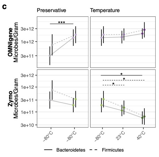 Dylan Maghini tweet media