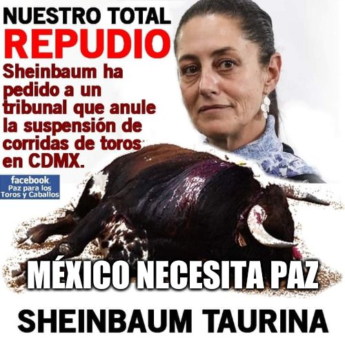 Asi NO <a href="/Claudiashein/">Claudia Sheinbaum Pardo</a> 
#NoAlMaltratoAnimal