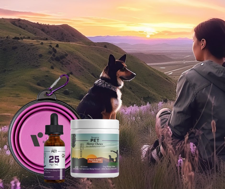 receptra's tweet photo. Get ready for May - National Pet Month! 😍

We have an exciting new bundle for all of your beloved pets. Introducing the Paws and Relax Bundle perfect for keeping your fur babies happy and healthy.

Learn more here: https://t.co/dJ7zfCiYig

#receptrapet #receptraforlife https://t.co/lzbuDB7YM2