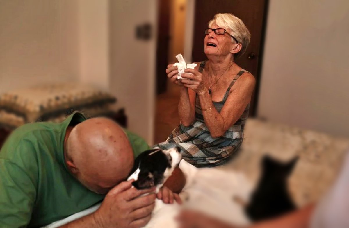 SosAbuelos1's tweet photo. “Te dicen que no llores.
  Te dicen que es sólo un perro, no una persona.
  Te dicen que puedes tener otro.
  Te dicen que se te pasará.
  Te dicen que hay dolores más insoportables.
 
  No saben cuántas veces fue tu perro el único que estuvo a tu lado.
  No saben que él ha sido el único que nunca te ha juzgado.
  No saben cuánto miedo tuviste la noche en que te despertaron sus lamentos.
  No saben cuánto has cambiado desde que el perro se convirtió en parte de tu vida.
  No saben cuántas veces lo abrazaste cuando estaba enfermo.

  No saben como fingías no ver su pelito volverse blanco.
  No saben en cuántas ocasiones le has hablado y te ha escuchado.
  No saben que solo fue él, quién notaba que estabas sufriendo.
  No saben qué sentimientos provocó en ti tu perro.

  No saben lo que se siente al verle anciano intentando ir a saludarte.
  No saben lo mucho que te ha amado y lo poco que le bastaba para ser feliz.
  No saben que llorar por un perro es una de las cosas más verdaderas y limpias de la vida.

  No saben cuando lo susurraste palabras de amor en su oreja peluda.
  No saben lo que sentiste al acariciarlo en su último aliento.
  No saben cuán roto y vacío te has quedado por dentro.
  No saben que tu alma se marchado con él al cielo...

  No saben ¿Qué van a saber?,
  por mucho que digan no existe consuelo...” 🐾💔
