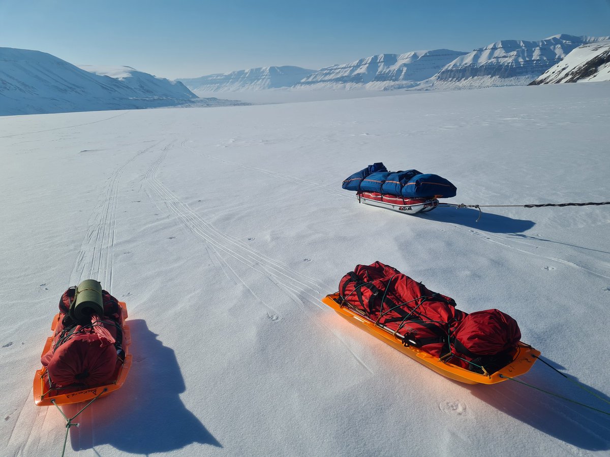 Lena Wilderäng tweet media