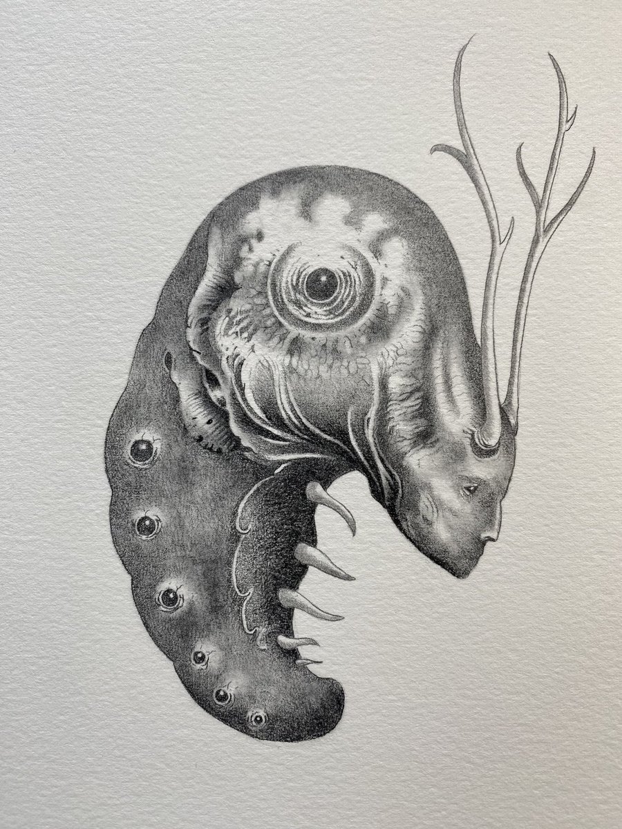 Lost_Machine's tweet photo. Here’s a small vignette piece I did this morning. Charcoal and graphite on 140lb Arches hot press. #beastiary #menagerie #imaginarylifeforms #graphite #surrealism #weirdart https://t.co/owVt58DrhR