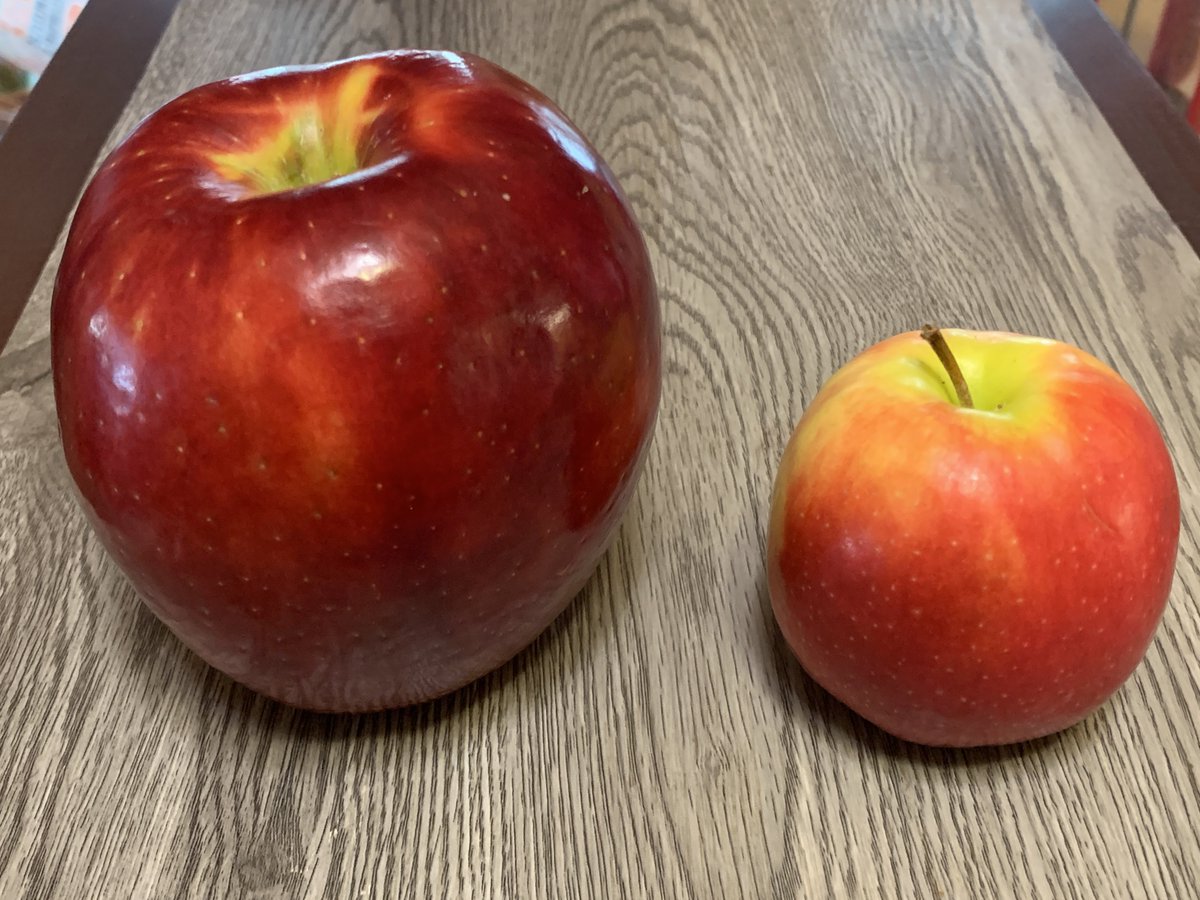 RickTulsie's tweet photo. When working busy games or #concerts I seldom stop for a sit down lunch. Too busy. I usually take a quick 5min & have my apple outside the #Saddledome. WELL. Today. Myla bought me these dinner size apples. The small 1 is my usual reg. size.
YIKES. HUGE
#yyc #Flames #EventGuy https://t.co/o6xmWUvVrA