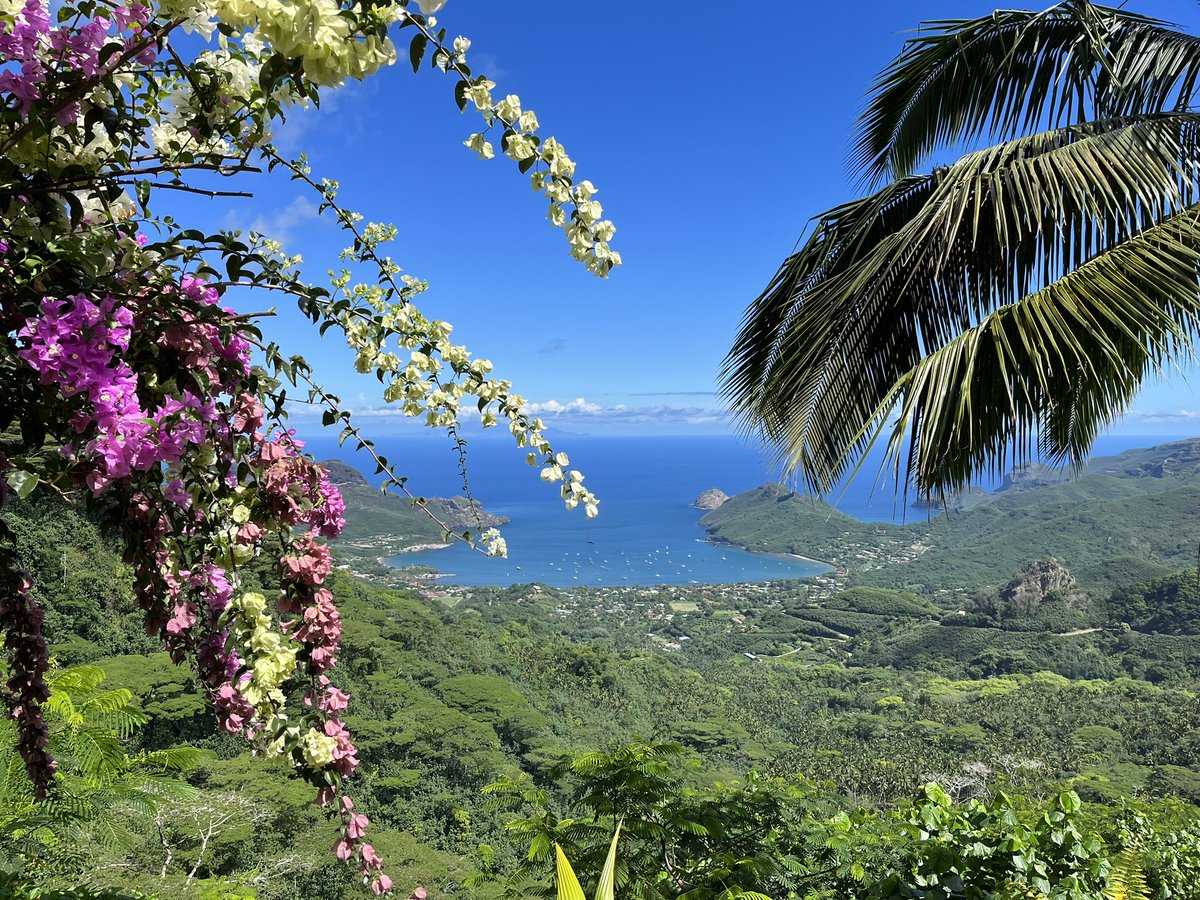 SelbyAnna's tweet photo. #polynesie at its best. The “capital village “ of #nukuhiva   More soon @TelegraphTravel https://t.co/uan0EsZMVN