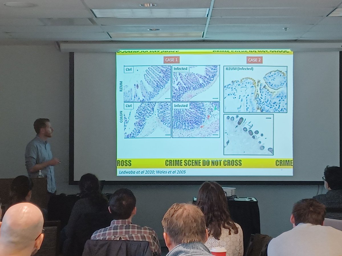 HPI_network's tweet photo. Now Dr. Thibaut Allain from Buret lab - scene crime investigation @UCalgary for HPI Symposium #pathobionts and #giardia #extravesicles https://t.co/FmMyrDqoXx