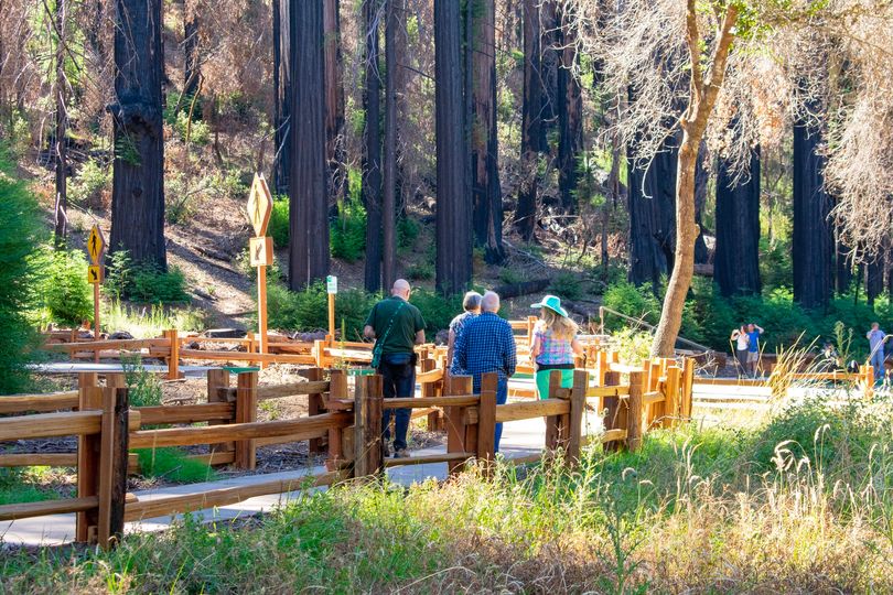 Friends of Santa Cruz State Parks tweet media