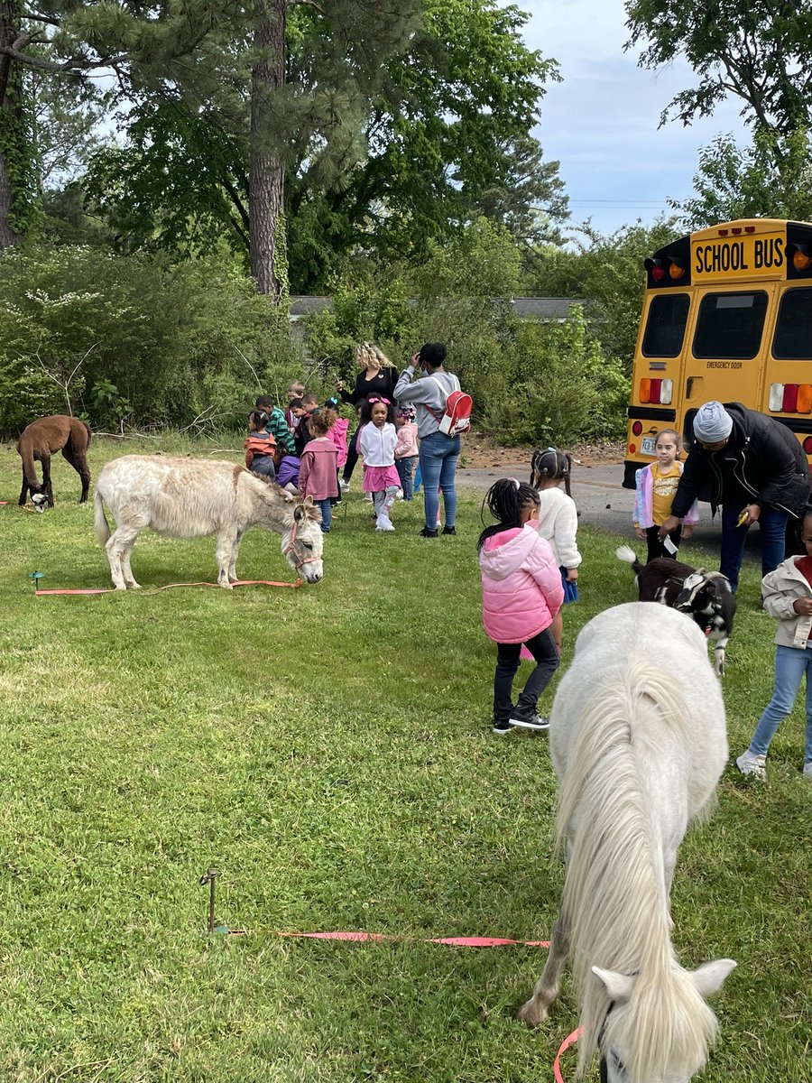 We were visited by The Teeny Tiny Farm. This was an amazing hands on learning experience and a great way to end their unit on animals. I think we have a veterinarian or two in our midst. @HeadStartgov @NatlHeadStart #LivingLifeAMileHigh
