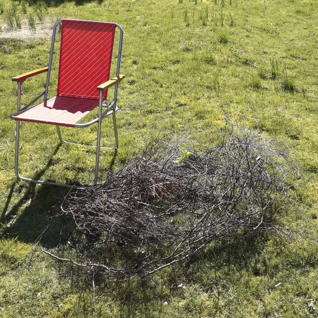 I made a #Basket from #BirchTwigs.
#Highlands #Birch
Collected #Twigs in Edinburgh too. Will make a #Lowland one soon 😁#MyHeartIsInTheHighlands