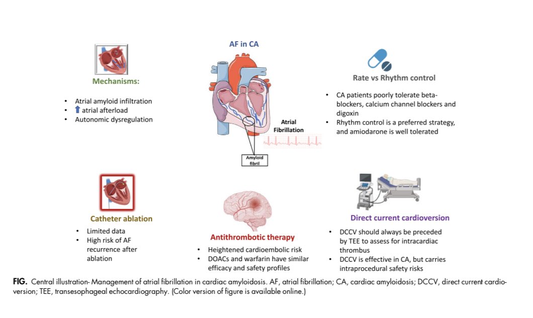 🔴 Epidemiology, Mechanisms, &amp; Management of Atrial Fibrillation in Cardiac Amyloidosis #CardioEd #Cardiology #Amyloidosis