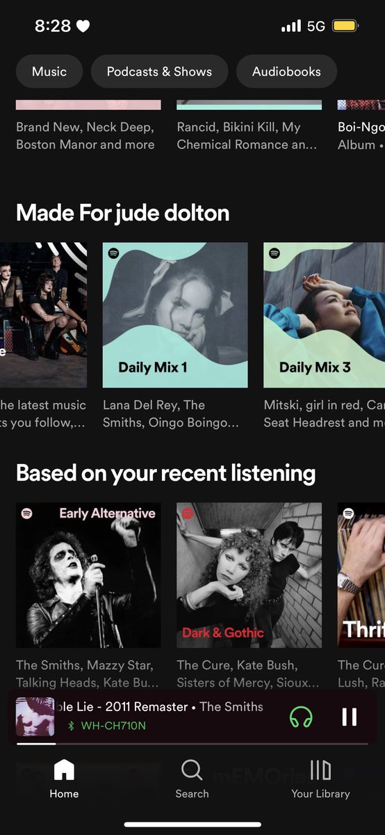you know your daily mixed is fucked when it’s lana, the smiths, and boingo… terrible combination